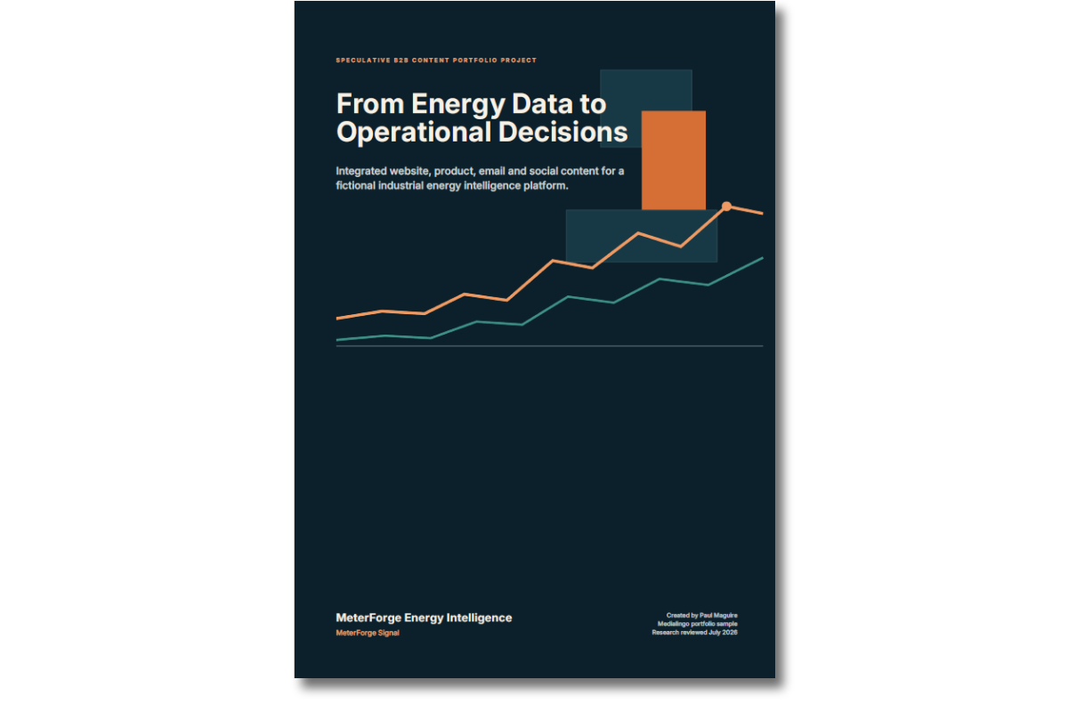 From Energy Data to Operational Decisions Cover of Paul Maguire’s B2B content strategy and campaign PDF